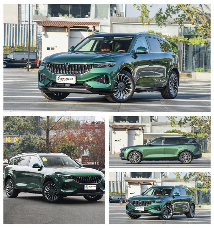 Voyah  Free Hot Sale 2022 China's ultra-Luxury Electric Suv New Energy Cars with Factory Price cheap electric cars for sale
