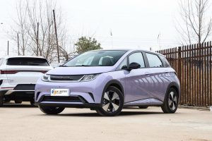 BYD Haitun Dolphin china ev vehicle byd e6 5kw sports car for adults byd electric car
