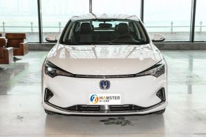 Hot selling 2022 New Cars Changan Eado EV460 High Quality And Cheap Brand Electric Car In stock