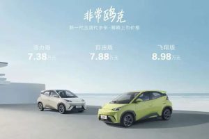 What is the strength of BYD Sea-gull, the hottest model on the market?