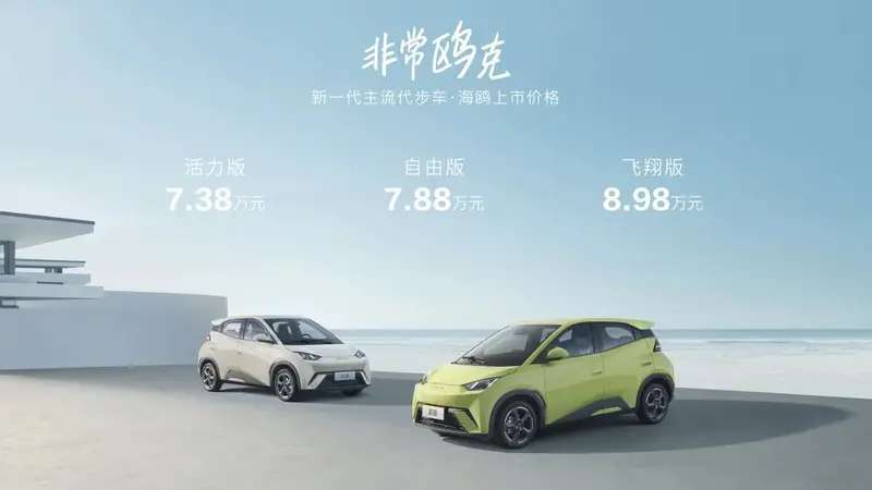 BYD seagull