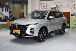 Now the national minimum is 104,300, how many people deserve to own the Roewe RX5 MAX