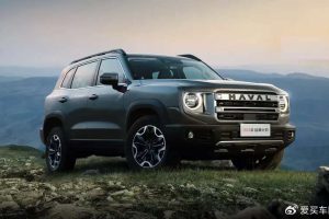 With upgraded power and a more wild appearance, the 2024 Haval Dog is here