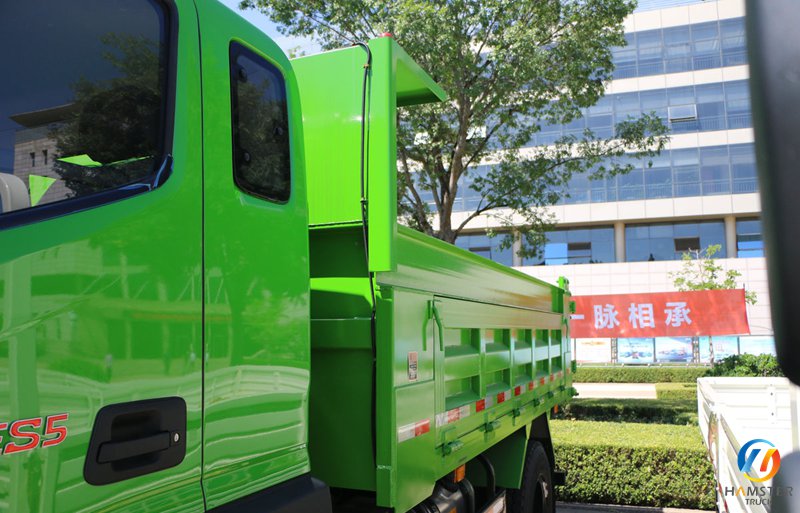 Foton Ruiwo ES5 200HP 4X2 4.2m dump truck