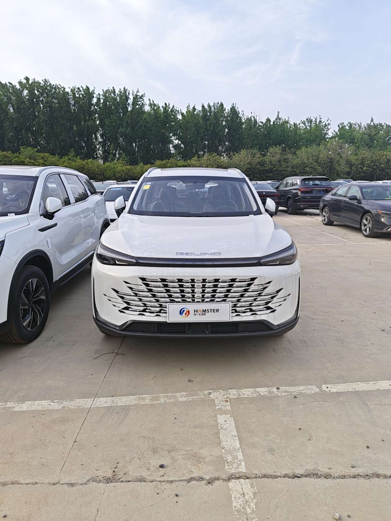 Beijing X7 Luxury SUV Electric Car Hot Sale High-Speed FWD with Leather Seats Rear Camera Luxury Beijing EU7 EU5 for Adults