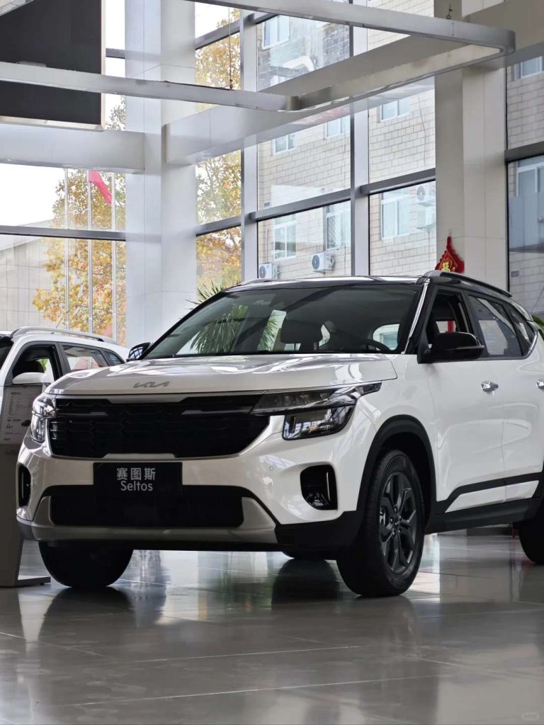 Compact Comfortable for Kia Seltos China Gasoline Car with Innovative Safety Features New Manual Gear Box Leather Seats Rear Cam