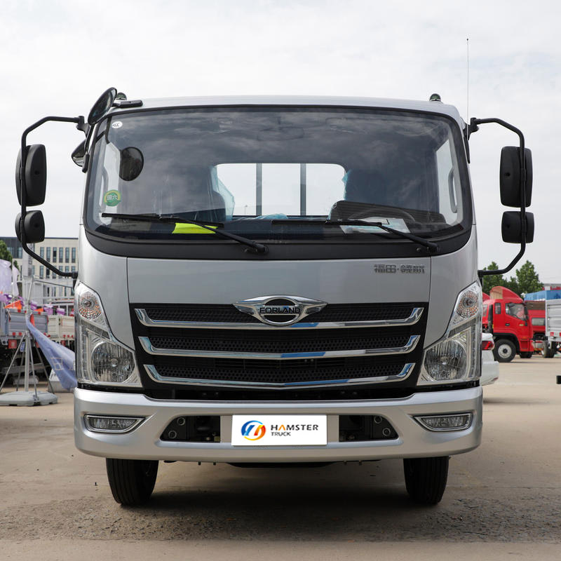 Foton Era Pilot M6 150HP 4.2m single-row sideboard light truck