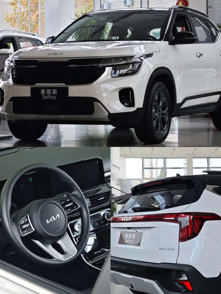 Compact Comfortable for Kia Seltos China Gasoline Car with Innovative Safety Features New Manual Gear Box Leather Seats Rear Cam