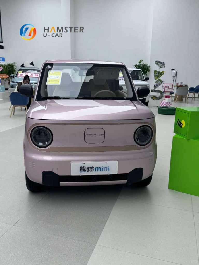 Geely Panda MINI EV Car New Energy Car Electric Fast Charging Mini Car for Adult