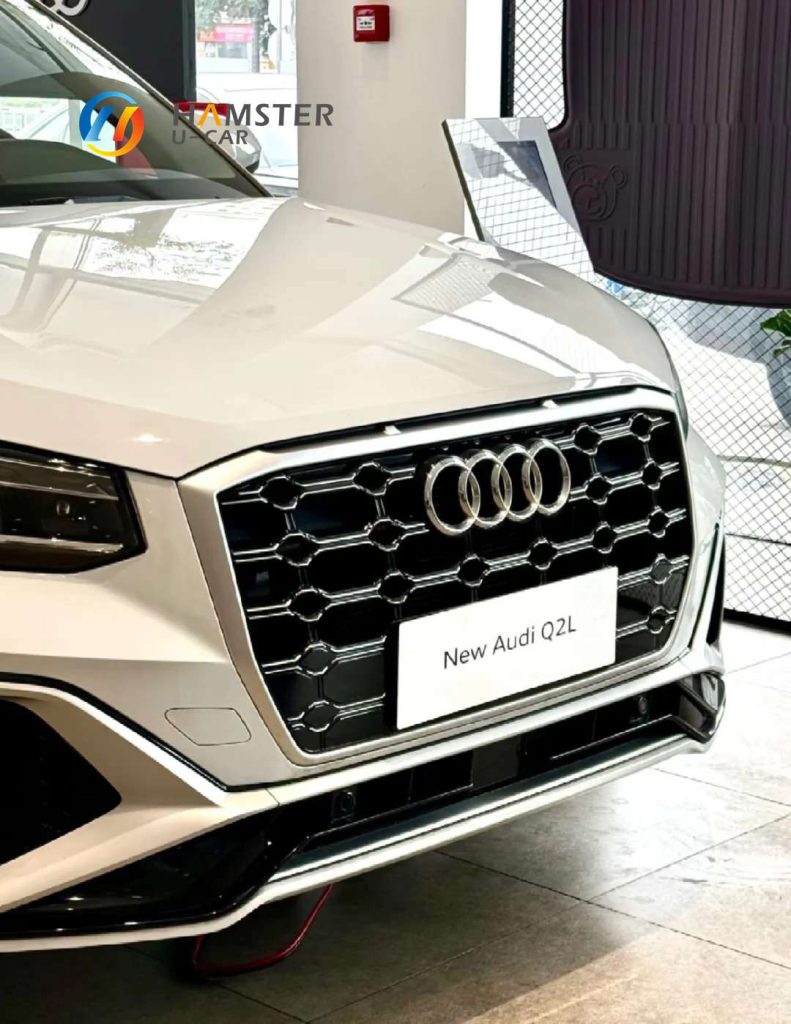 Audi Q2L: Where Style Meets Individuality – The Trendsetter's Compact SUV