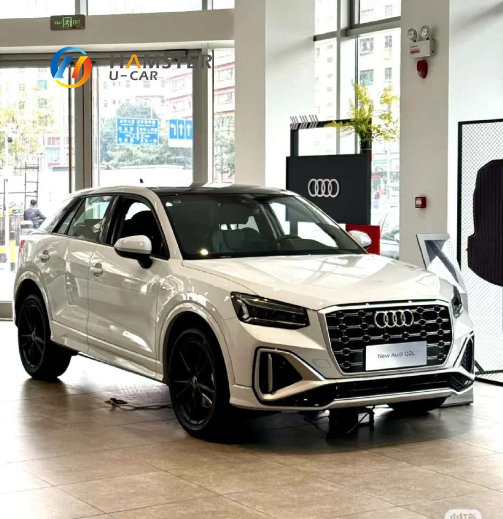 Audi Q2L: Where Style Meets Individuality – The Trendsetter's Compact SUV